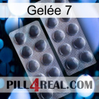 Gelée 7 31